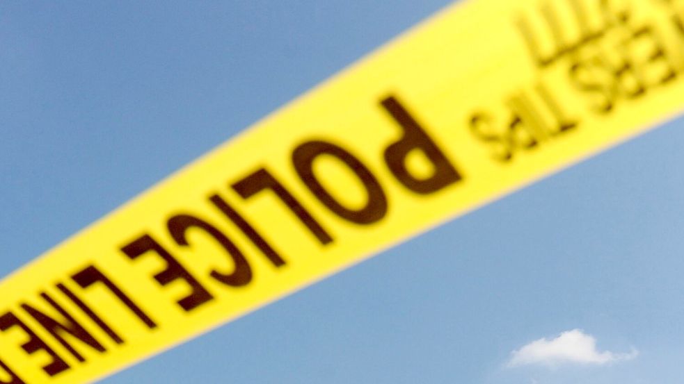 Nach Angaben des LAPD wurde der Musiker wegen Mordverdachts an einer Jugendlichen festgenommen. (Symbolbild) Foto: Michael Reynolds/epa/dpa