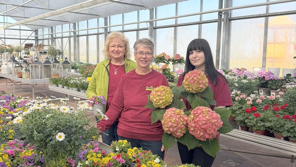 Die Gartentage in Riepe, Westerende, Ostersander und Ochtelbur bieten eine große und bunte Vielfalt zum Frühlingsanfang. Fotos: Privat