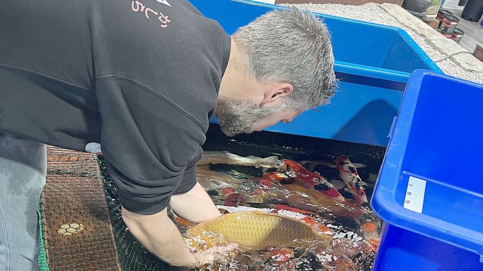 NORDICPOND ist ebenfalls mit seinem reichhaltigen Angebot und faszinierenden Koi-Karpfen dabei.