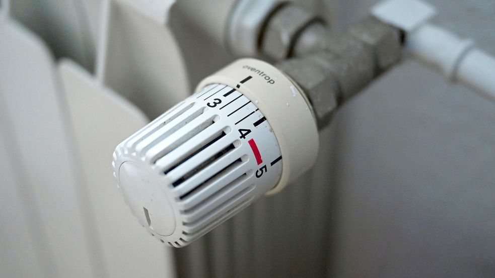 Wer trägt die Kosten durch den steigenden CO2-Preis? Der WWF hat Ideen. (Symbolfoto) Foto: Elisa Schu/dpa