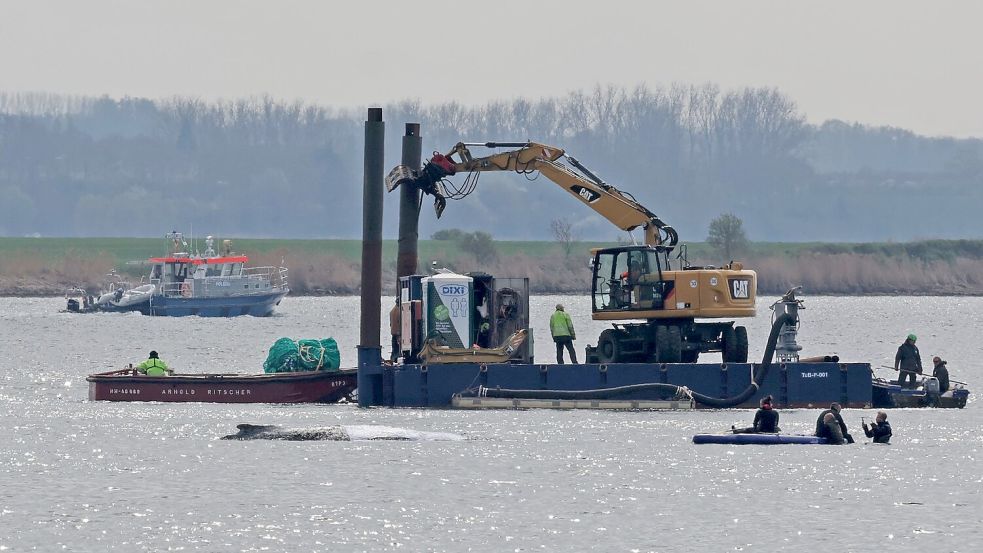 Detaillierte Infos zum Fortschritt der Rettungsaktion gibt es von den Initiatoren nicht. Foto: Bernd Wüstneck