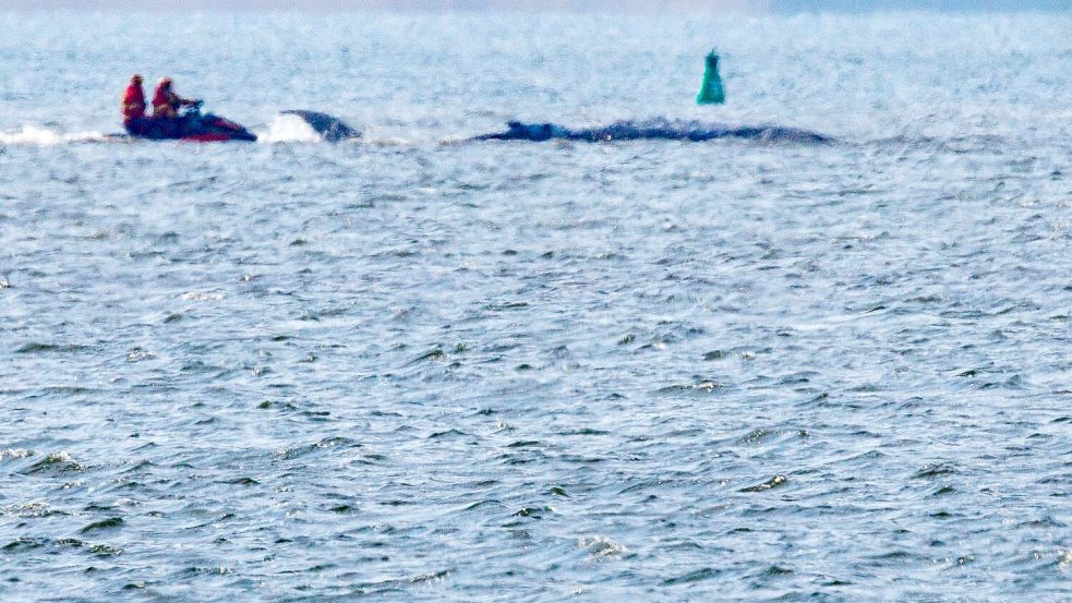 Mobilsierungsversuche gab es ab Mittag. Foto: Jens Büttner