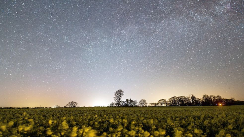 Die Lyriden treten jedes Jahr im April auf. (Archivbild) Foto: Daniel Reinhardt