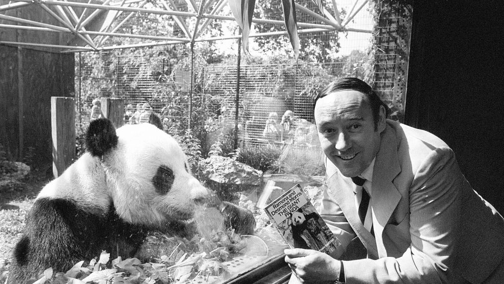 Der Biologe Desmond Morris - hier eine Aufnahme von 1981 - wurde mit seinem Buch „Der nackte Affe“ weltbekannt. Foto: Pa