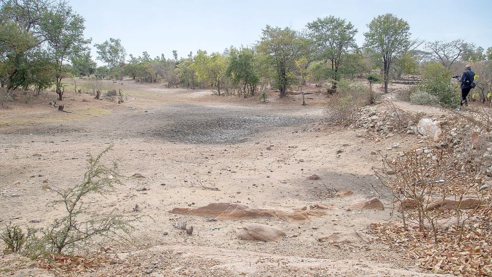 El Nino bringt Dürren in manchen Weltregionen (Archivbild) Foto: Aaron Ufumeli/AP