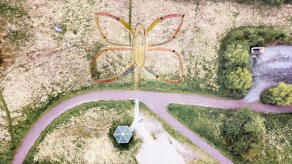 Auf dieser Grünfläche am Hahnentanger See soll nach dem Konzept des Fördervereins Tourismus Rhauderfehn ein Barfußpfad in Schmetterlingsform entstehen. Die Schmetterlingsform wurde bereits gekennzeichnet – wie auf diesem Luftbild zu sehen ist. Foto: Förderverein Tourismus Rhauderfehn