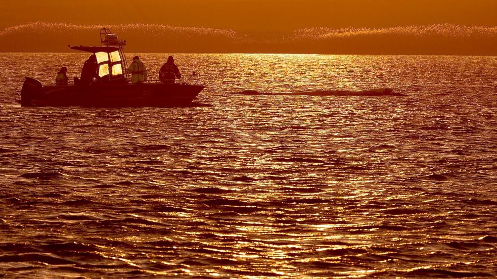 Die Vorbereitungen für die beabsichtigte Befreiung des Wals laufen weiter. Foto: Jens Büttner