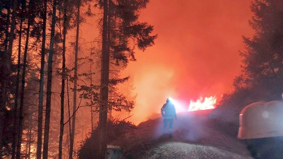 In Österreich steht eine Fläche von 110 Hektar in Flammen. Foto: Unbekannt