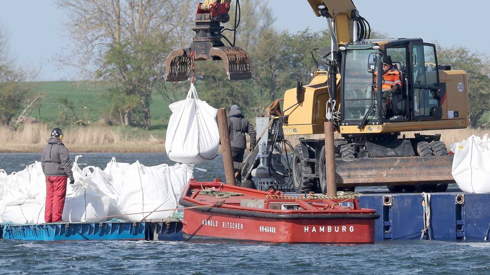 Eine Barriere aus großen Sandsäcken soll das Walverhalten beeinflussen. Foto: Bernd Wüstneck