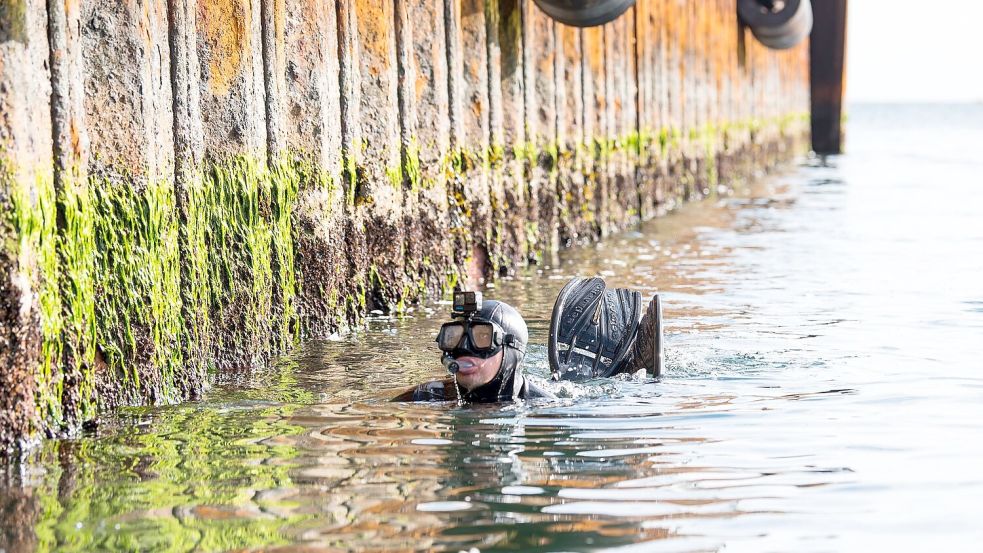 Um Minen unter Wasser unschädlich zu machen, ist der Einsatz von Minentauchern notwendig. Sie durchlaufen eine anspruchsvolle Ausbildung. (Archivbild) Foto: Daniel Bockwoldt