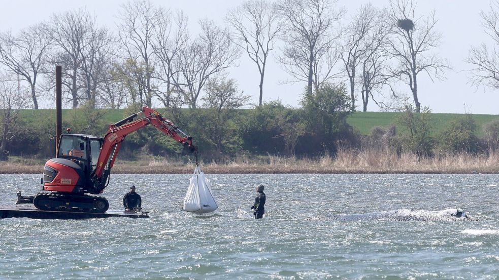 Das neue Konzept der Privatinitiative wird geduldet. Foto: Bernd Wüstneck