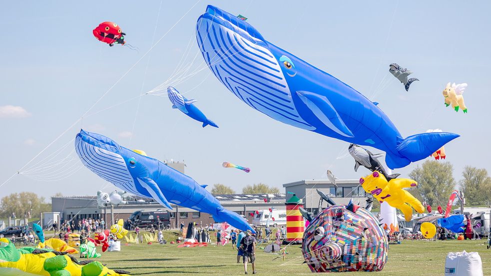 Solche riesigen und farbenfrohen Drachen sind Anfang Mai wieder in Dornumersiel zu sehen.Foto: Tourismus GmbH Gemeinde Dornum