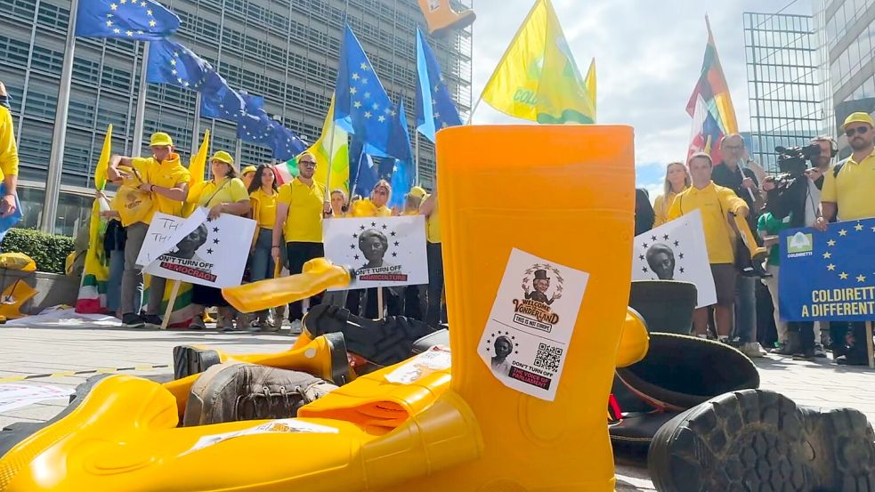 Die EU-Abgeordneten wollen Europas Landwirten mehr Geld fest zusagen. (Archivbild) Foto: Sylvain Plazy/ap/AP/dpa