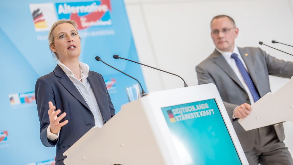 Die AfD von Alice Weidel und Tino Chrupalla hat in jüngsten Umfragen klar die Nase vorn. (Archivbild) Foto: Michael Kappeler/dpa