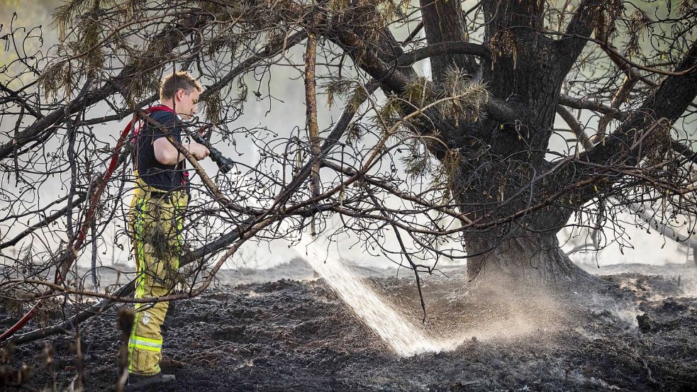 Zur Bekämpfung der Flammen baten die Niederlande nach Angaben der Behörden zum ersten Mal auch andere Länder um Hilfe. Foto: Rob Engelaar