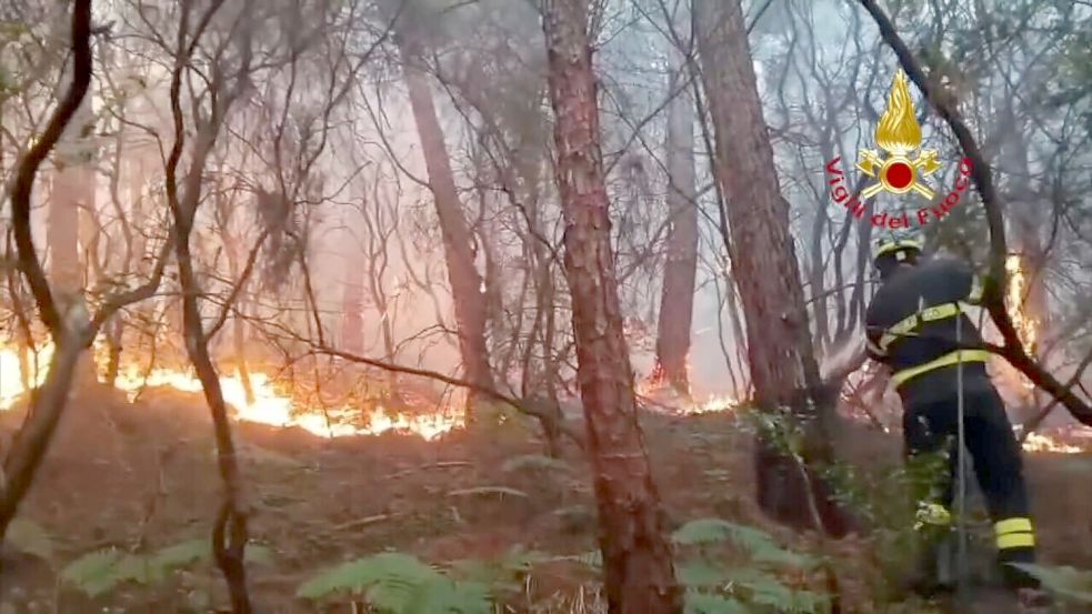 Wegen des Waldbrands mussten mehr als 3.500 Menschen ihre Häuser verlassen. Foto: -/Vigili del Fuoco/dpa