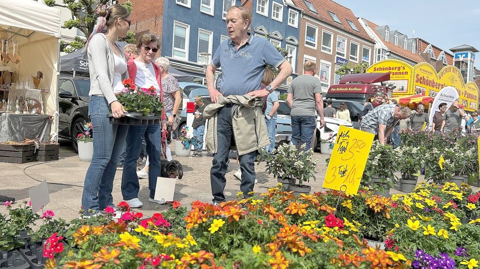 Strahlender Sonnenschein lädt am Sonntagvormittag zum Bummel über den Geranienmarkt ein. Foto: Matthias Hippen