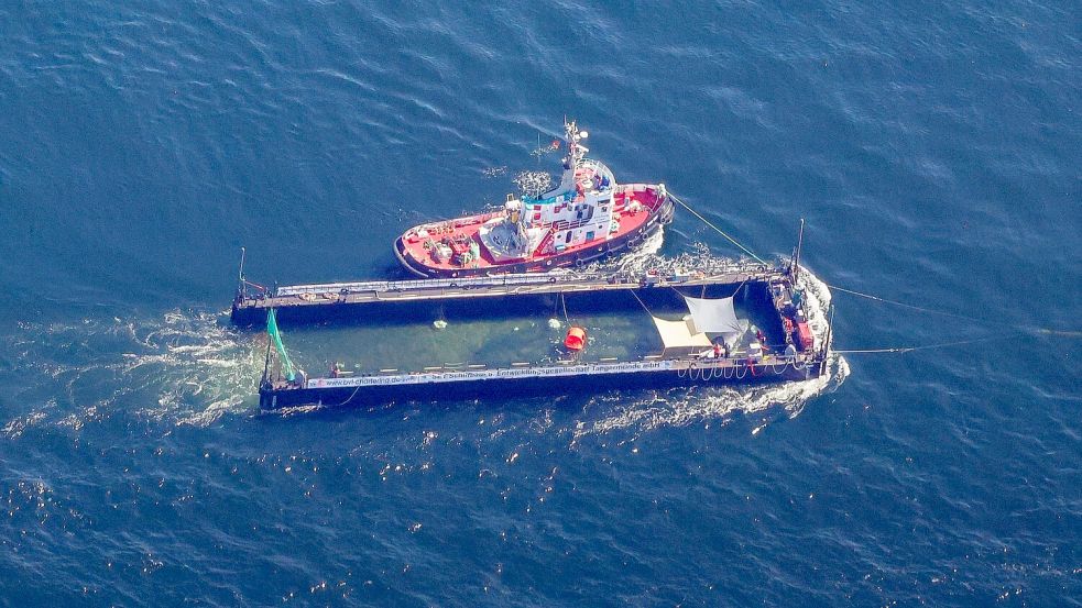 Der Buckelwal wurde in seiner Barge vom Schlepper Fortuna B entlang der dänischen Küste in Höhe unterhalb von Skagen, im sogenannten Skagerrak, durch die Ostsee gezogen. (Archivbild) Foto: Christoph Reichwein