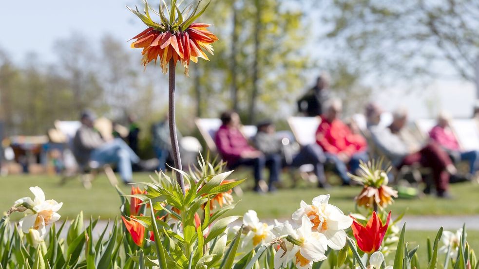 Zwischen Sonne und Schauern zeigt sich der Frühling wechselhaft. (Archivbild) Foto: Michael Reichel