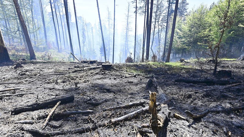 Der Brand im Nationalpark Böhmische Schweiz ist nicht unter Kontrolle. Foto: Hájek Ondøej/CTK/dpa