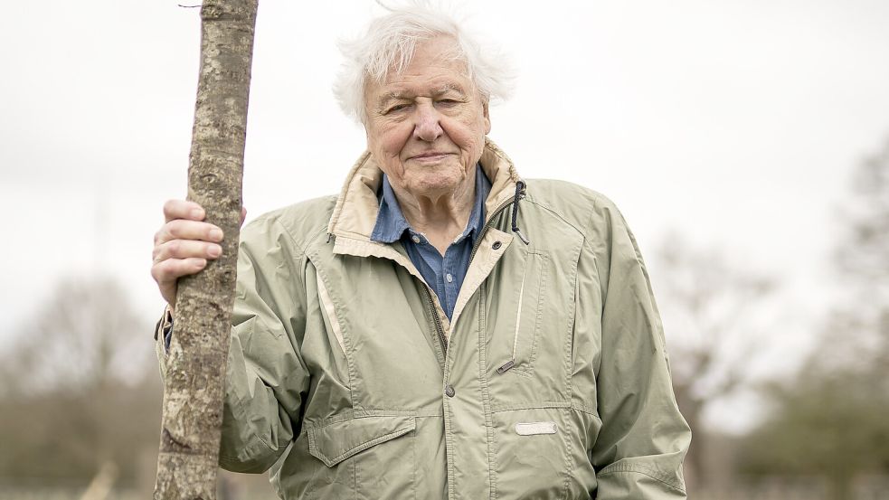 Sir David Attenborough ist als Naturforscher eine TV-Ikone in Großbritannien. Foto: dpa/PA Wire | Aaron Chown