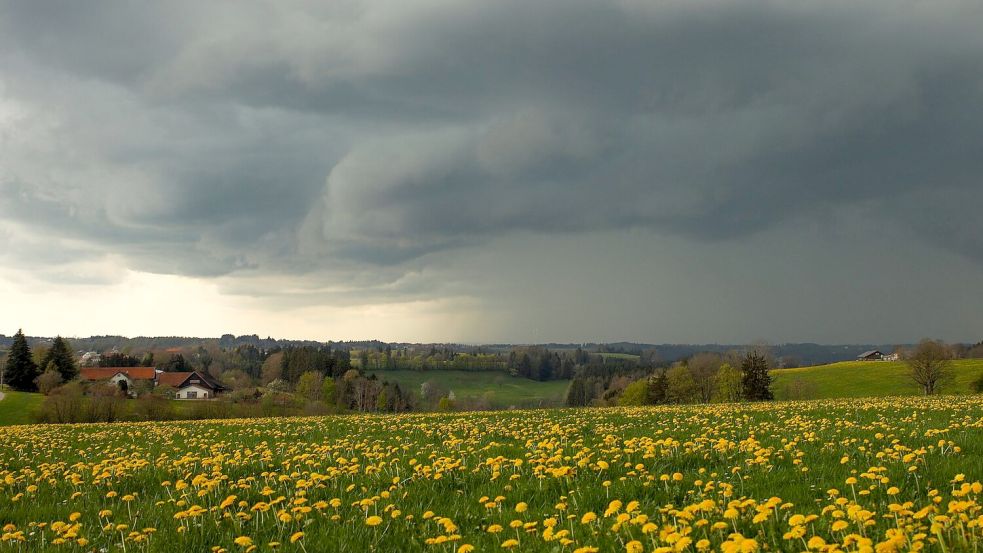 Dunkle Wolken und Gewitter wird es auch in den kommenden Tagen geben. (Archivbild) Foto: Alexander Wolf/onw-images/dpa