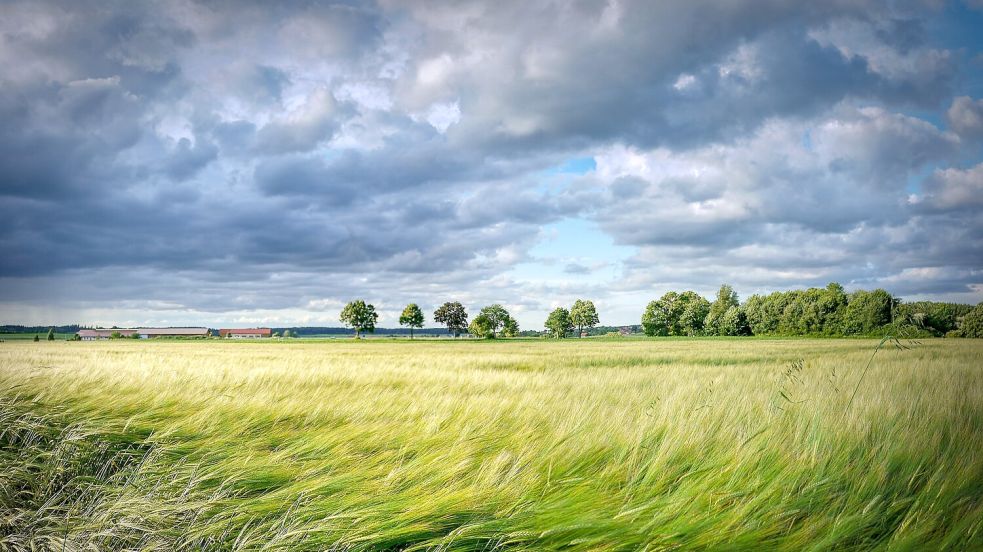 Am Sonntag dreht der Wind auf Nord und frischt böig auf. Symbolfoto: pixabay