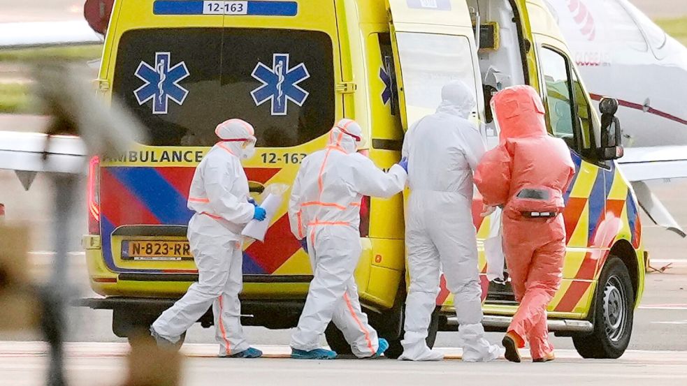 Untersuchungen auf das Hantavirus laufen noch. Foto: Peter Dejong