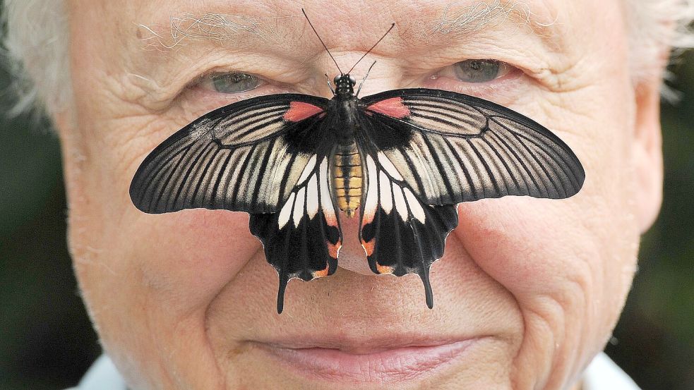 Zu seinem 100. Geburtstag erhielt David Attenborough einen persönlichen Brief von König Charles. (Archivfoto) Foto: John Stillwell