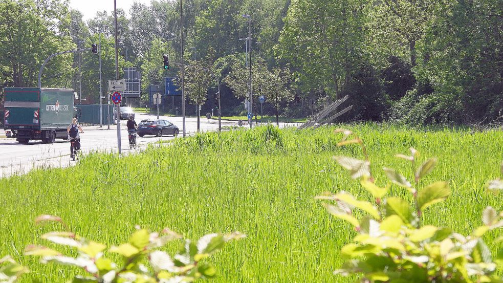 Auf der grünen Wiese an der Petkumer Straße soll seit Jahren eine neue Rettungswache gebaut werden. Das Foto ist Ende 2022 entstanden. Seitdem hat sich nicht viel getan. Foto: Friedrich Doden/Archiv
