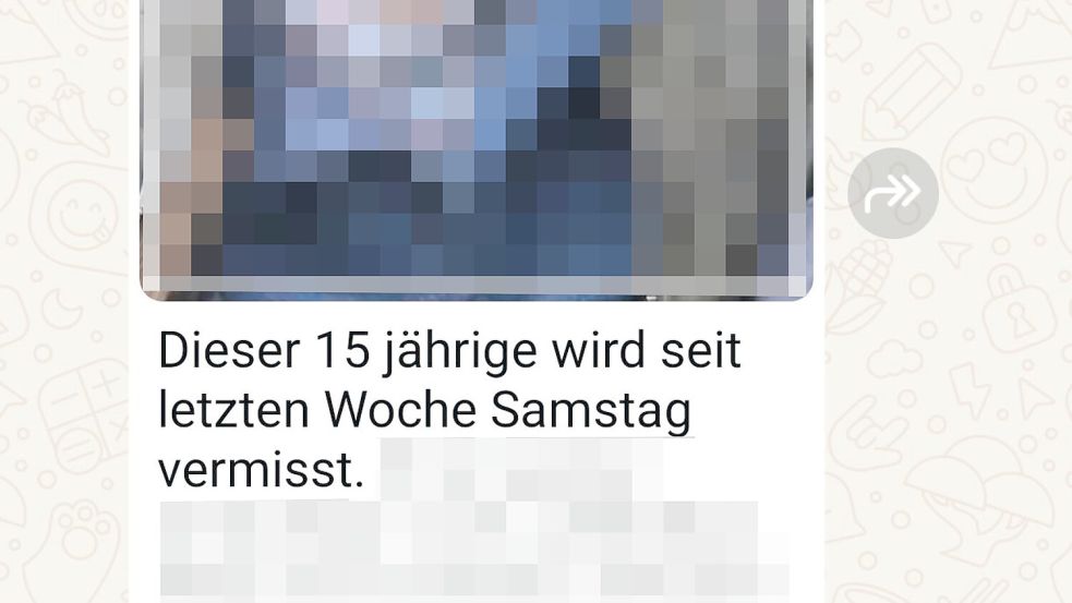 Solche und vergleichbare Meldungen kursieren immer wieder. Nicht immer gibt es auch eine öffentliche Fahndung. Screenshot: privat
