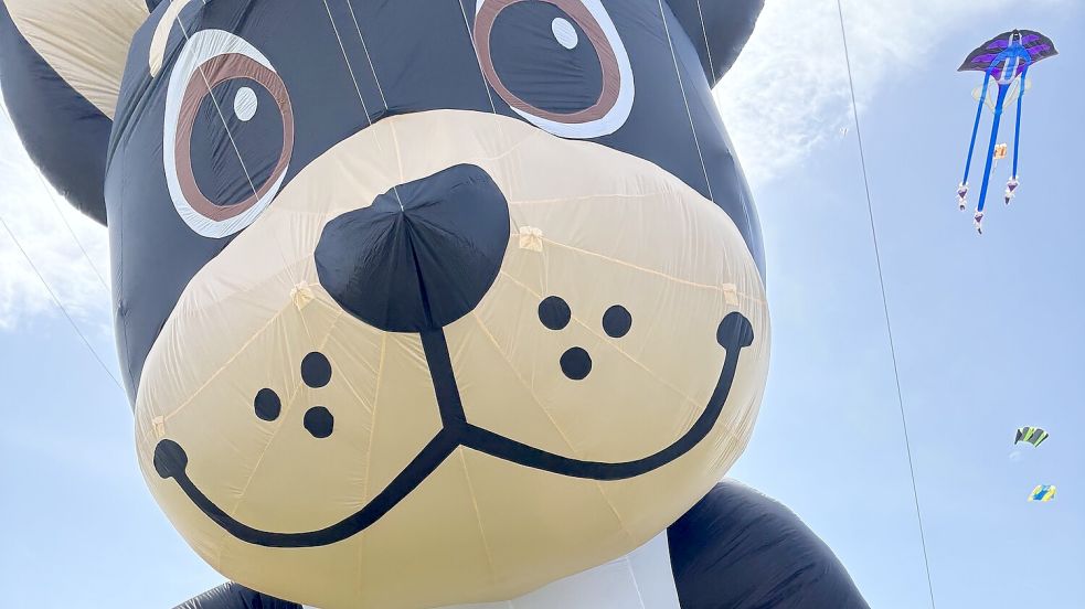 Die Idee für diese fliegenden französischen Bulldoggen ist in Hage entstanden. Foto: Rebecca Kresse