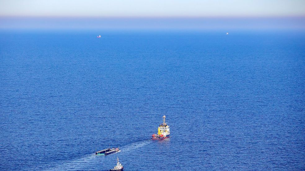 Eine private Rettungsinitiative hatte den Buckelwal in einer Barge in Richtung Nordsee gebracht. (Archiv) Foto: Christoph Reichwein