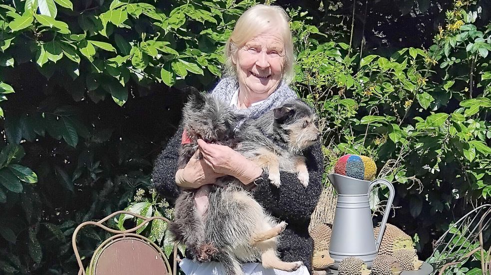 Auf Cassens Arm kuscheln die Hunde Lassy und Chicco. Am Pfingstmontag wird die Collinghorsterin 80 Jahre alt. Fotos: Clarissa Scherzer