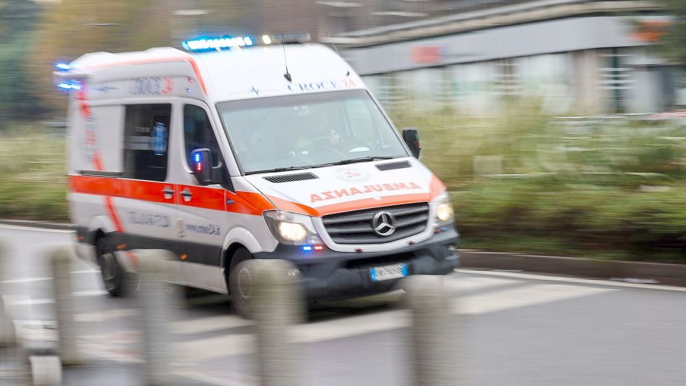 In Mecklenburg-Vorpommern ist eine Erkrankung mit dem gefährlichen Bornavirus nachgewiesen worden. Es kann nach Behördenangaben von Feldspitzmäusen auf den Menschen übertragen werden. (Symbolbild) Foto: Jan Woitas