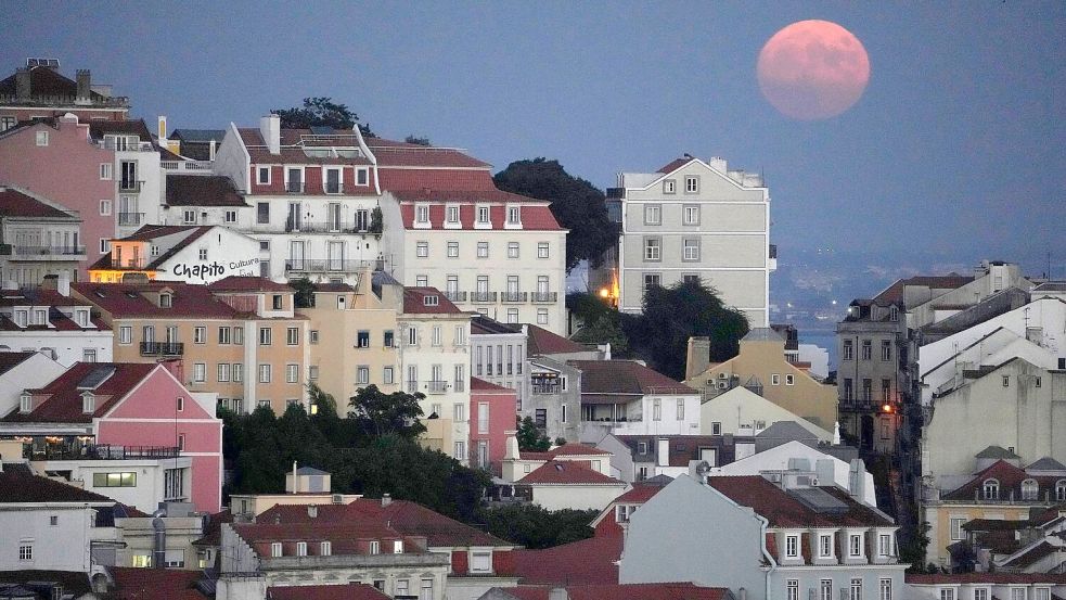 Nach der Mutter wurde nicht nur in Portugal fieberhaft gesucht. Nach der Festnahme wurden sie und der Stiefvater in Untersuchungshaft genommen. (Symbolbild) Foto: Armando Franca/AP/dpa