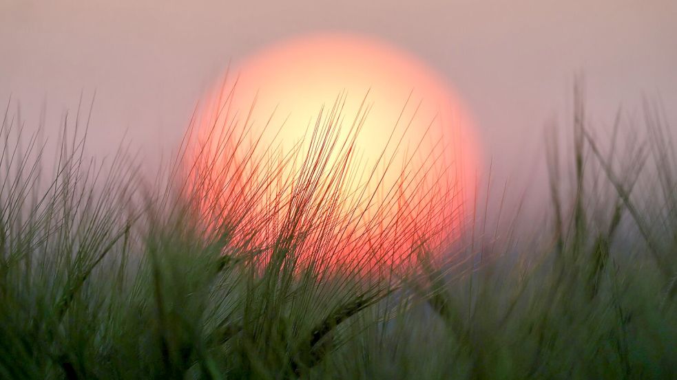 Im Südwesten werden Temperaturen bis 34 Grad erwartet Foto: Thomas Warnack/dpa