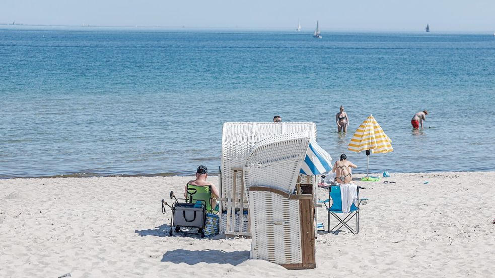 Vor allem im Norden war der Frühling sonnig. (Archivbild) Foto: Markus Scholz