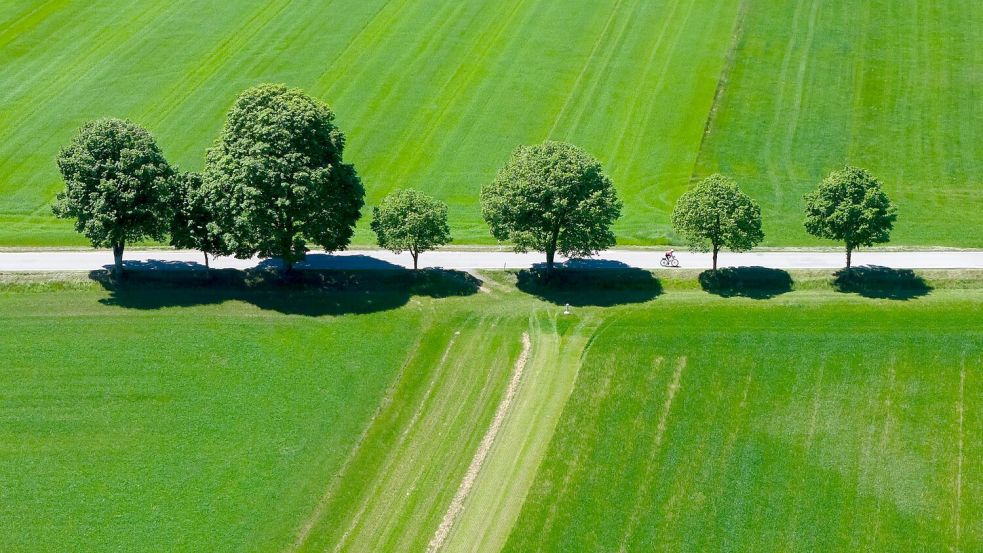 In Bayern war es vor allem sehr trocken. Foto: Sven Hoppe