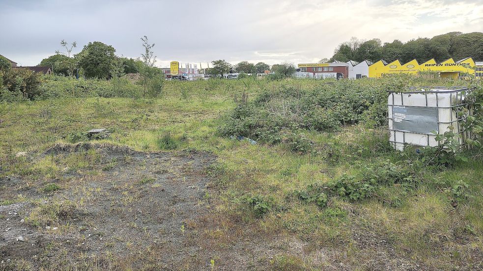 Auf dem Filetstück sollen neue Parkplätze entstehen. Ebenso ist das Grundstück als neue Jahrmarkt-Fläche vorgesehen. Foto: Karin Böhmer