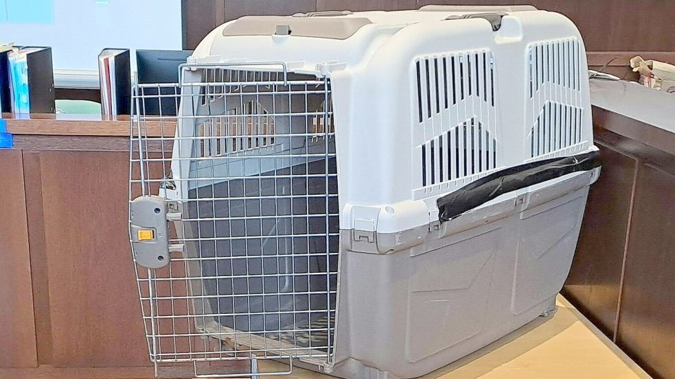In eine Box ähnlich wie diese, schloss sich ein Dreijähriger selbst ein. Er wollte nicht herauskommen, um sich zu duschen, nachdem er sich selbst mit Erbrochenem bedeckt hatte. Foto: dpa/Christopher Eckl