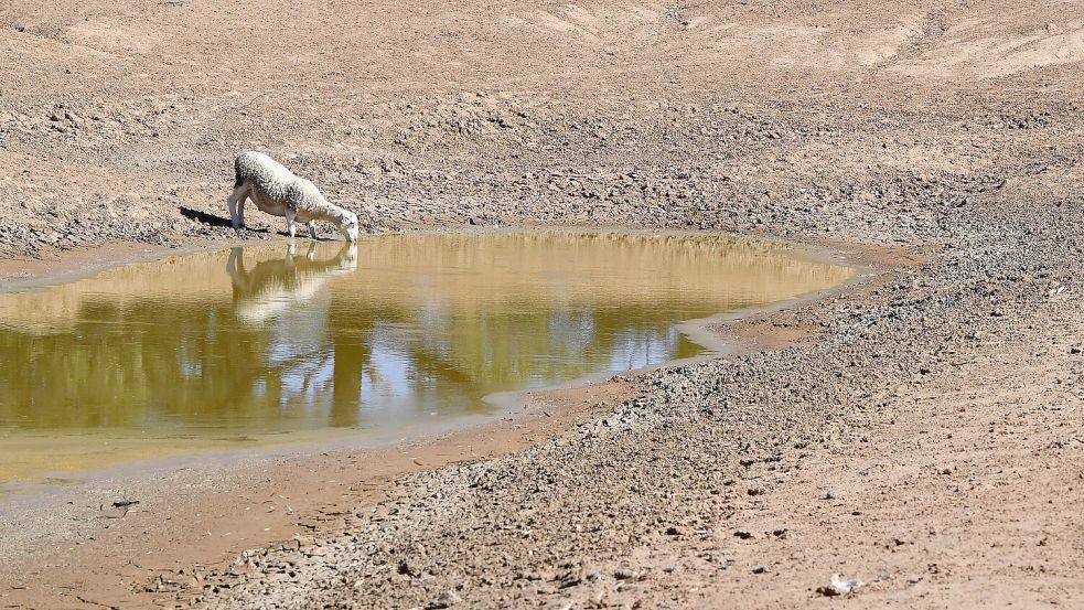 Die NOAA hat den Beginn von El Niño verkündet. (Symbolbild) Foto: Dean Lewins