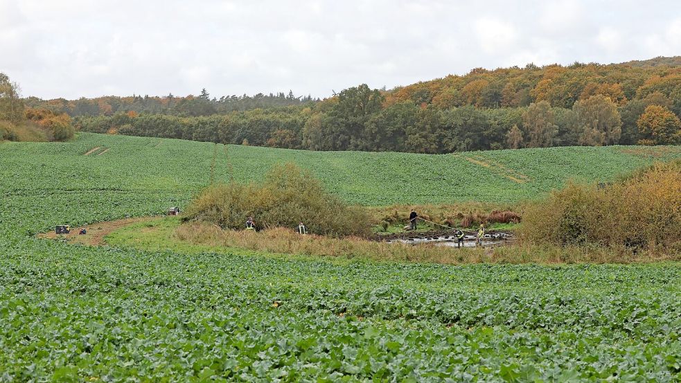 Fabians Leichnam wurde an dem Tümpel bei Klein Upahl gefunden. (Archivbild) Foto: Bernd Wüstneck