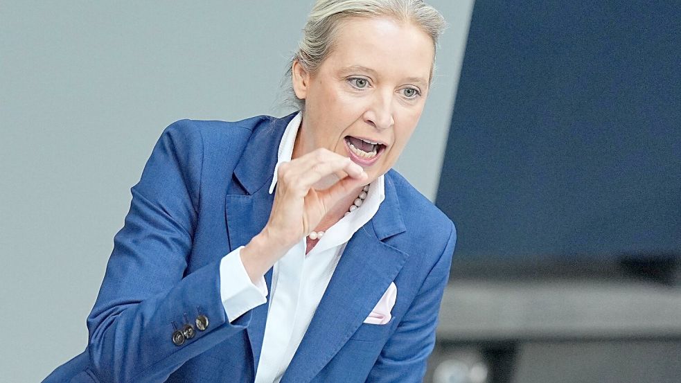 Übt sich selbst nicht in vornehmer Zurückhaltung: AfD-Co-Sprecherin Alice Weidel im Bundestag. Das Planspiel „Jugend und Parlament“ lief in diesem Jahr aus dem Ruder. Foto: Michael Kappeler