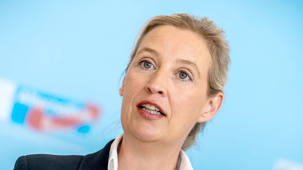 AfD-Chefin Weidel kann sich über gute Umfragewerte freuen. (Archivbild) Foto: Michael Kappeler/dpa