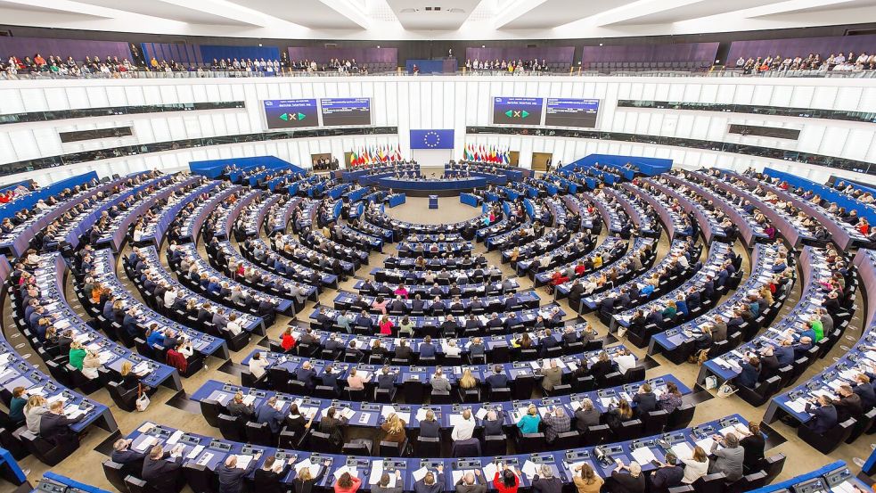 Grünes Licht vom EU-Parlament für „Return Hubs“ außerhalb Europas. (Archivbild) Foto: Philipp von Ditfurth/dpa