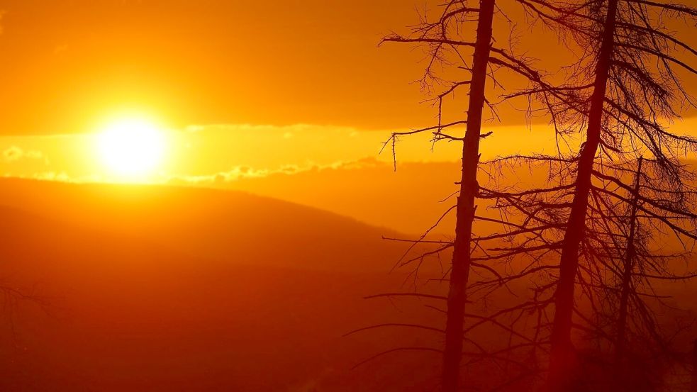 Je später der Abend, desto eindrucksvoller die Sonne. (Archivbild) Foto: Matthias Bein