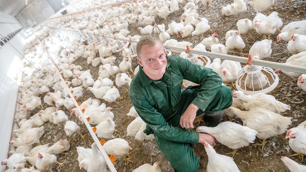 Obwohl im Stall alles elektronisch gesteuert und videoüberwacht ist, sieht Hauke Koets mindestens zweimal täglich nach dem rechten. Foto: Klaus Ortgies