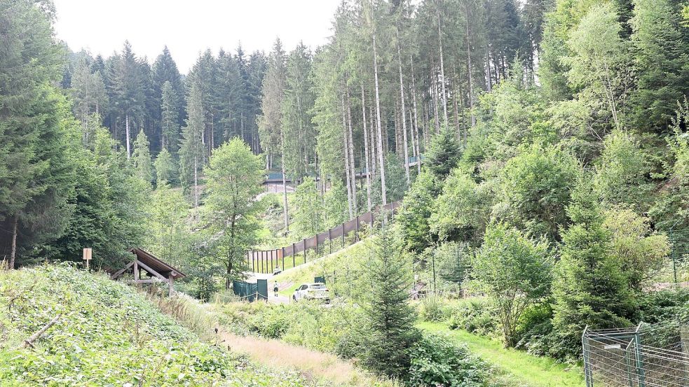 Brunos Schwester Gaia lebt nach ihrem tödlichen Angriff auf einen Jogger im Bärenpark Schwarzwald. (Archivbild) Foto: Bernd Weißbrod
