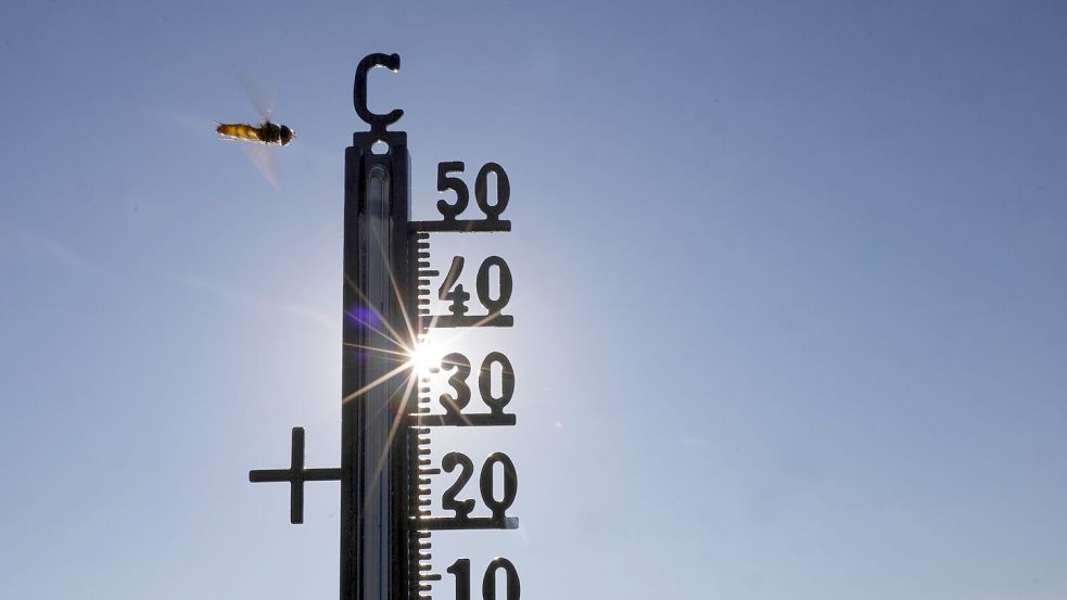 Die Temperaturen können bei bis zu 39 Grad liegen. Foto: Thomas Warnack/dpa